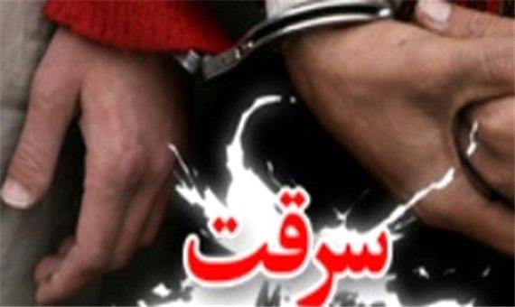 دستگیری 2 سارق تلفن همراه با 8 فقره سرقت در ساری