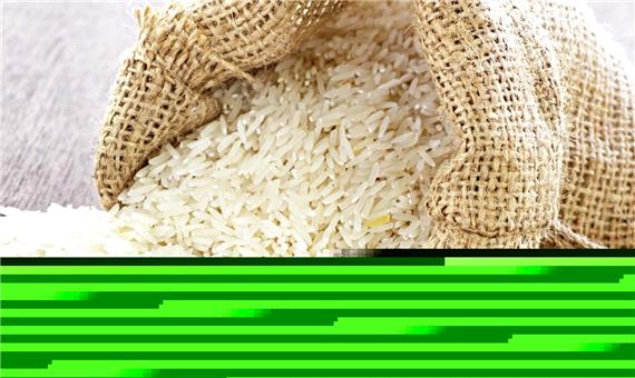 کاهش قیمت برنج مازندران؛ دلالی یا خوش‌بینی
