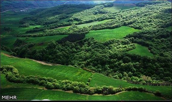 جنگل های هیرکانی دارای 180 گونه درختی و درختچه ای است