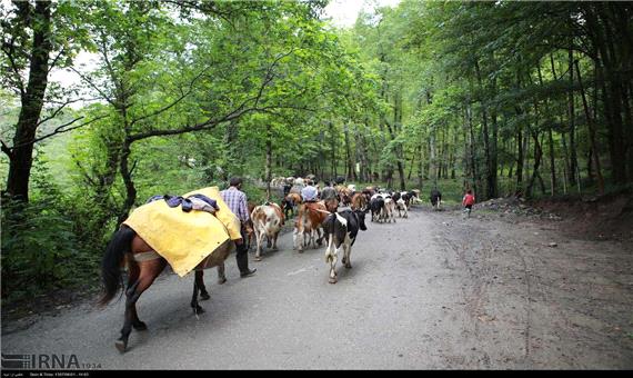 ثبت جنگل های هیرکانی و تنها سوال جنگل نشینان مازندران