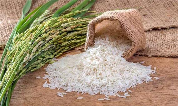 ممنوعیت فصلی واردات برنج همچنان برقرار است