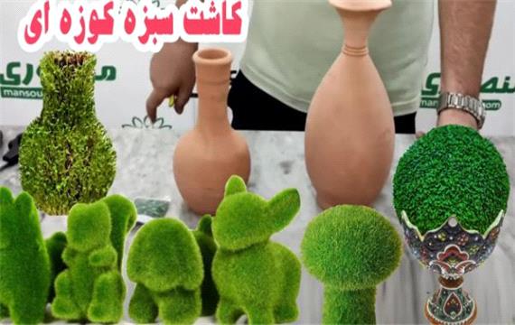 آموزش کاشت سبزه روی کوزه - سبزه عید با تخم شاهی