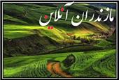 دکترصادق برزگر به عنوان مدیر کل میراث فرهنگی، گردشگری و صنایع دستی مازندران منصوب شد