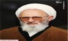 لزوم معرفی ابعاد مختلف شخصیت علامه حسن زاده آملی