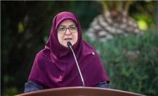 واکنش سخنگوی دولت به بازگشت بابک زنجانی به فعالیت‌های اقتصادی/ مهاجرانی: ناترازی برق 20 هزار مگاوات است