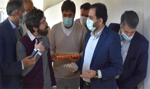 بازدید مدیرعامل بنیاد برکت از روند اشتغال زایی در روستاهای مازندران+عکس