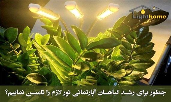 چطور برای رشد گیاهان آپارتمانی نور لازم را تامین نماییم؟