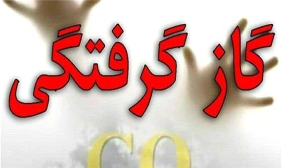 مرگ 2 مازندرانی بر اثر گاز گرفتگی