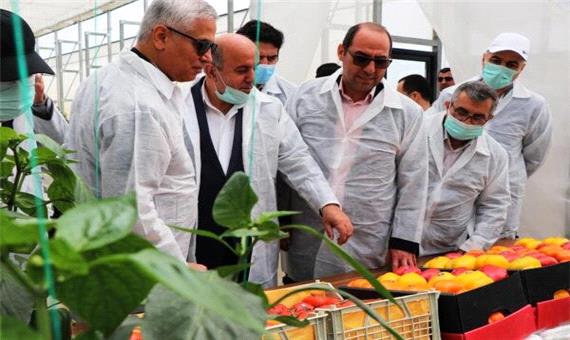 تشریح فرصت‌های اقتصادی مازندران برای سفرای 9 کشور عضو اکو