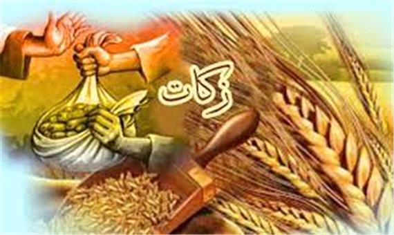فعال بودن 2 هزار شورای زکات روستا در مازندران