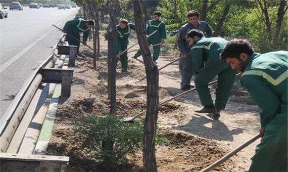 400 هزار مترمربع از بوستان‌های شمال تهران در طرح خدمت بازپیرایی شد