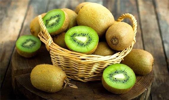 صادرات یک هزار تن کیوی از نوشهر