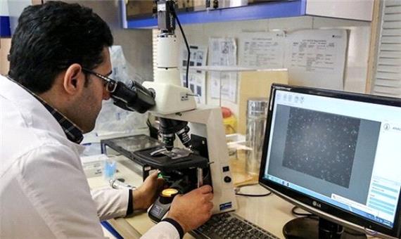 تحقق طرح پژوهشگر پسادکتری بدون آموزش متقاضیان امکان‌پذیر نیست