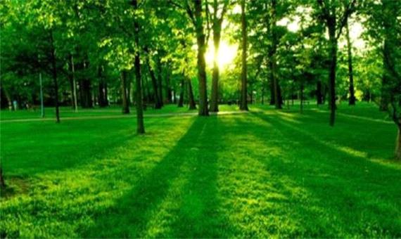 اجرای طرح بین‌المللی ترسیب کربن برای حفظ منابع طبیعی در مازندران