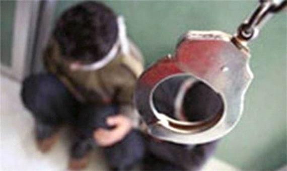 دستگیری سارقان حرفه‌ای در آمل