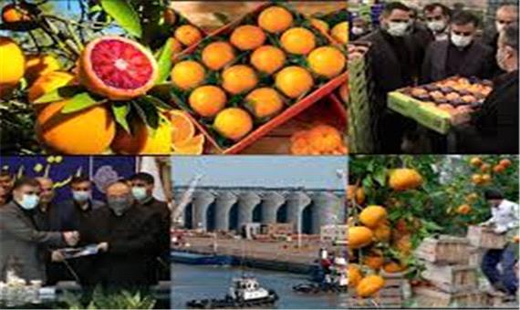 رونق شیرین صادرات مرکبات از مازندران