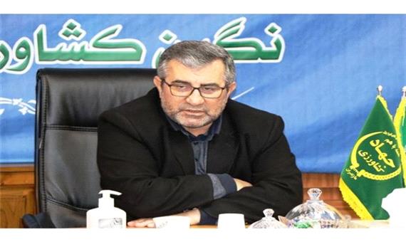 از خرید 50 هزار تن برنج پرمحصول تا صادرات هوایی مرکبات مازندران