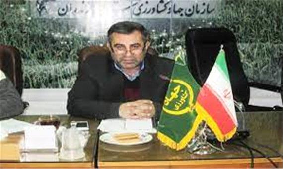 تولید هسته های بذری در دیمزارهای مازندران