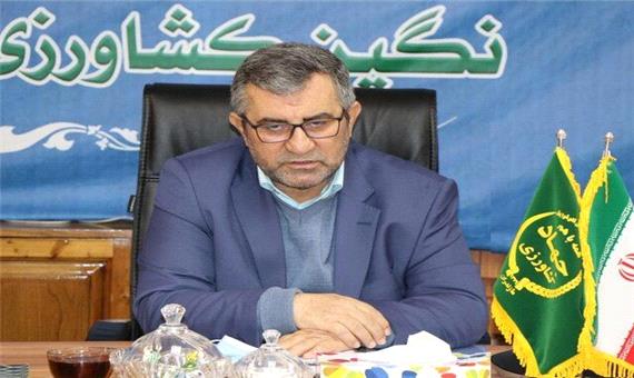 حمایت دولت از بخش کشاورزی/250 تن پرتقال و 350 تن سیب ذخیره سازی شد