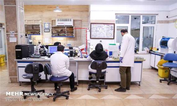 موفقیت‌های پژوهشگاه رویان در درمان بیماری پارکینسون