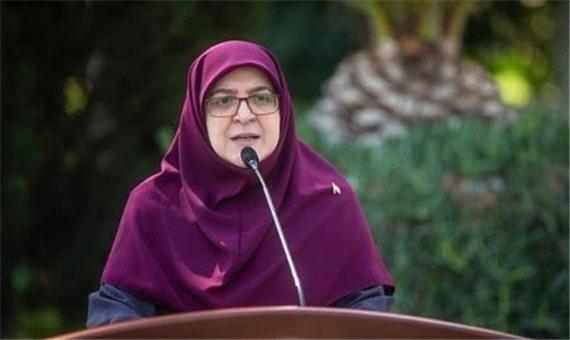 واکنش سخنگوی دولت به بازگشت بابک زنجانی به فعالیت‌های اقتصادی/ مهاجرانی: ناترازی برق 20 هزار مگاوات است