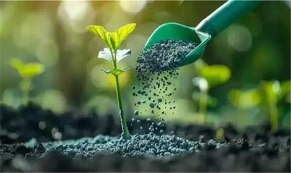 چگونه با کود سه بیست باغچه‌ای سرسبز و پرمحصول داشته باشیم؟