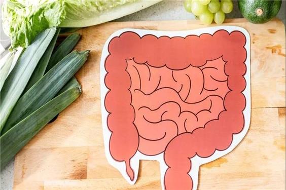 5 عادت طلایی برای داشتن روده‌ای سالم