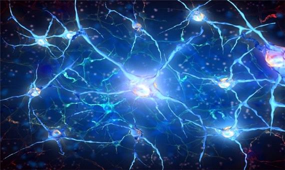 کنترل فعالیت نرون‌ها با سوئیچ نانوذره‌ای امکان پذیر شد
