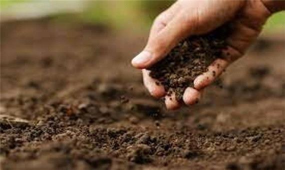 خاک را به «کُلش» کیمیا کنند