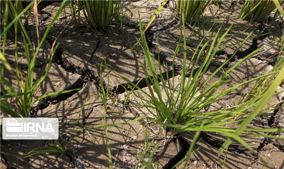 ریشه‌دوانی خشکسالی در مازندران تا عمق آب‌های زیرزمینی