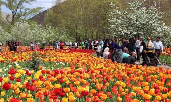 428 هزار گلدان گل از نوشهر به خارج از کشور صادر شد