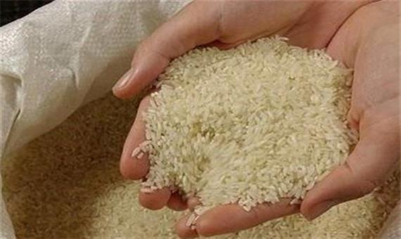 قیمت برنج از چه زمانی کاهش پیدا می‌کند؟