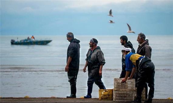 افزایش 35 درصدی میزان صید ماهیان استخوانی دریای خزر