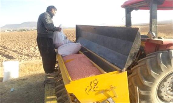 رونق کشت خطی در دیم‌زارهای مازندران برای فرار از خشکسالی