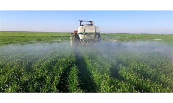 مبارزه شیمیایی در هزار هکتار مزارع جو مازندران