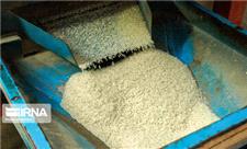 مقاومت قیمت برنج مازندران در سقف 60 هزار تومان