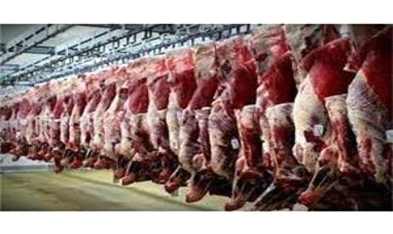 فعالیت 735 هزار واحد دامی در ساری/ تولید سالانه 6500 تنی گوشت قرمز