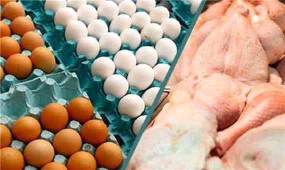 توزیع 145 تن مرغ و تخم مرغ در محمودآباد