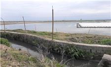 آلودگی آب رودخانه های محمودآباد رفع شد
