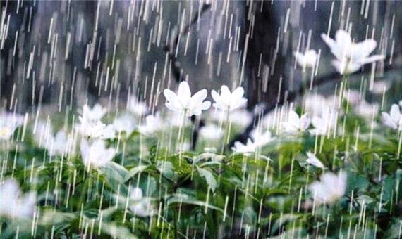بارندگی در مازندران تا پایان هفته ادامه دارد
