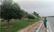 کنترل عوامل خسارت‌زا با آبشویی حدود 7 هزار اصله درخت در جنوب پایتخت