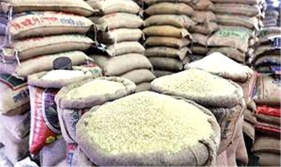 صف دلالان پشت مرز شالیرازهای مازندران / برنج جدید چند قیمت می‌خورد ؟