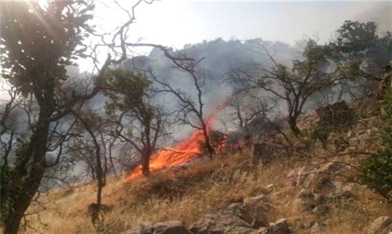 هشدار خطر آتش‌سوزی در عرصه‌های جنگلی مازندران