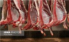 تولید سالانه 6500 تن گوشت قرمز در ساری