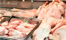 تولید 100 هزار تن گوشت مرغ در مازندران