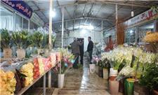 بازار گل محلاتی کوچک‌تر می‌شود / بازگشایی پارک بسیج تا پایان مرداد / زیباسازی بخشی از بزرگراه امام علی (ع)