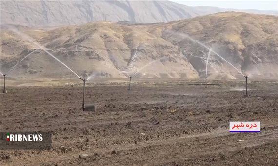 تغییر الگوی کشت در سطح هزار هکتار از اراضی دره‌شهر