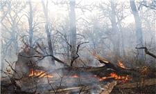 آتش در دامن جنگل‌های مازندران/کیاسر و کلاردشت قربانی همیشگی سهل‌انگاری