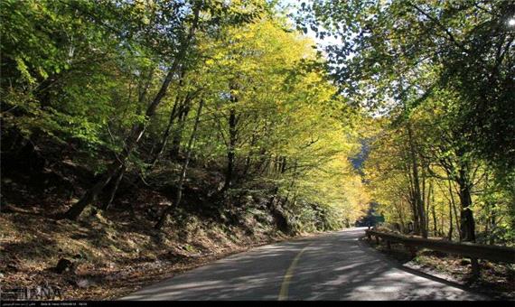 زیباترین جاده جنگلی جهان در غرب مازندران نیازمند امکانات رفاهی و خدماتی مناسب