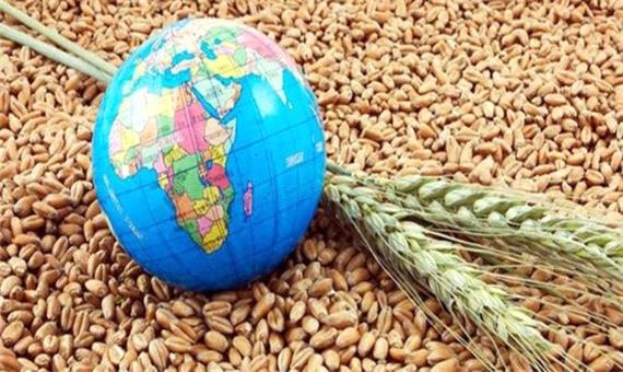 صندوق‌بین‌المللی پول: 48 کشور در خطر بحران غذا قرار دارند